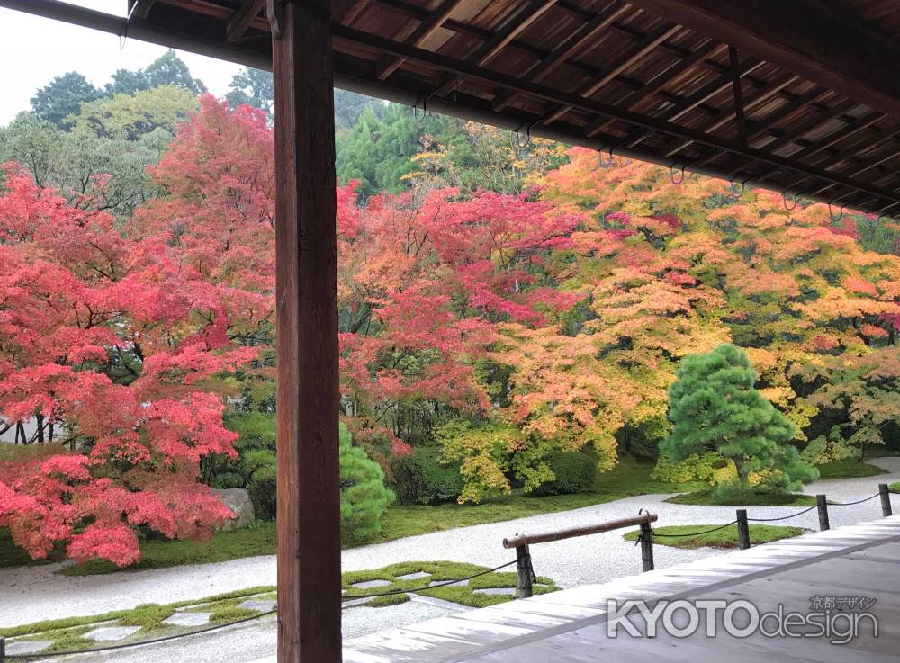 南禅寺　天授庵の絶景