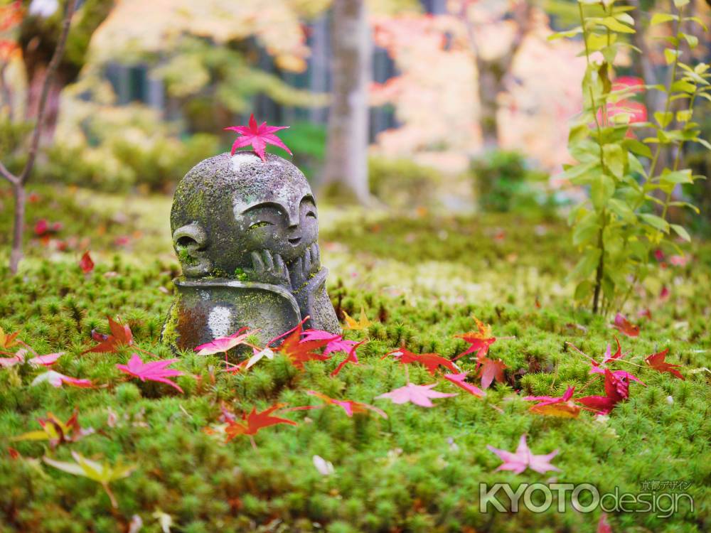 圓光寺　ほほえみ地蔵　秋