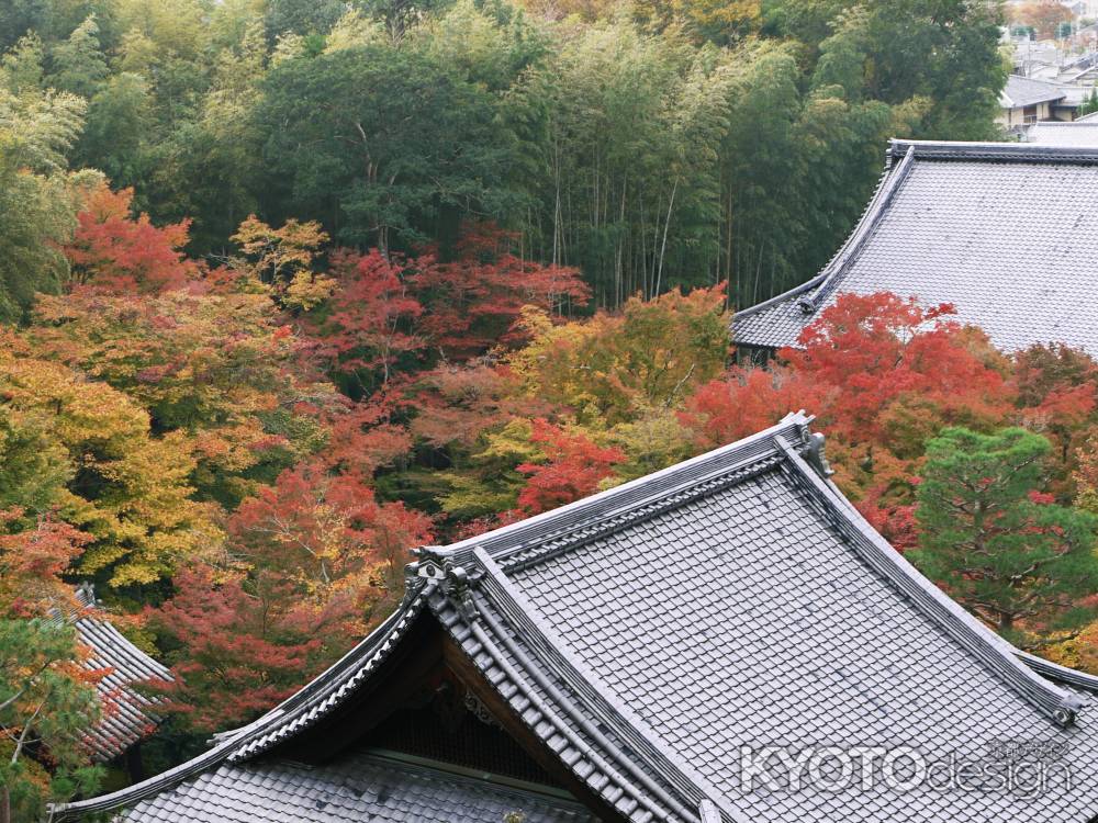 圓光寺を望む　屋根と紅葉