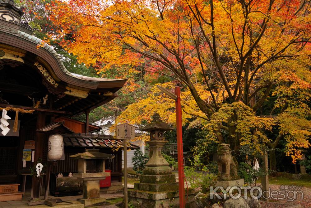粟田神社の紅葉3