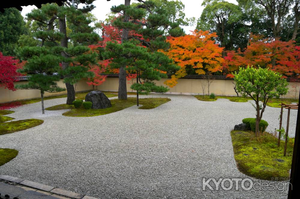 廬山寺　源氏庭の紅葉3