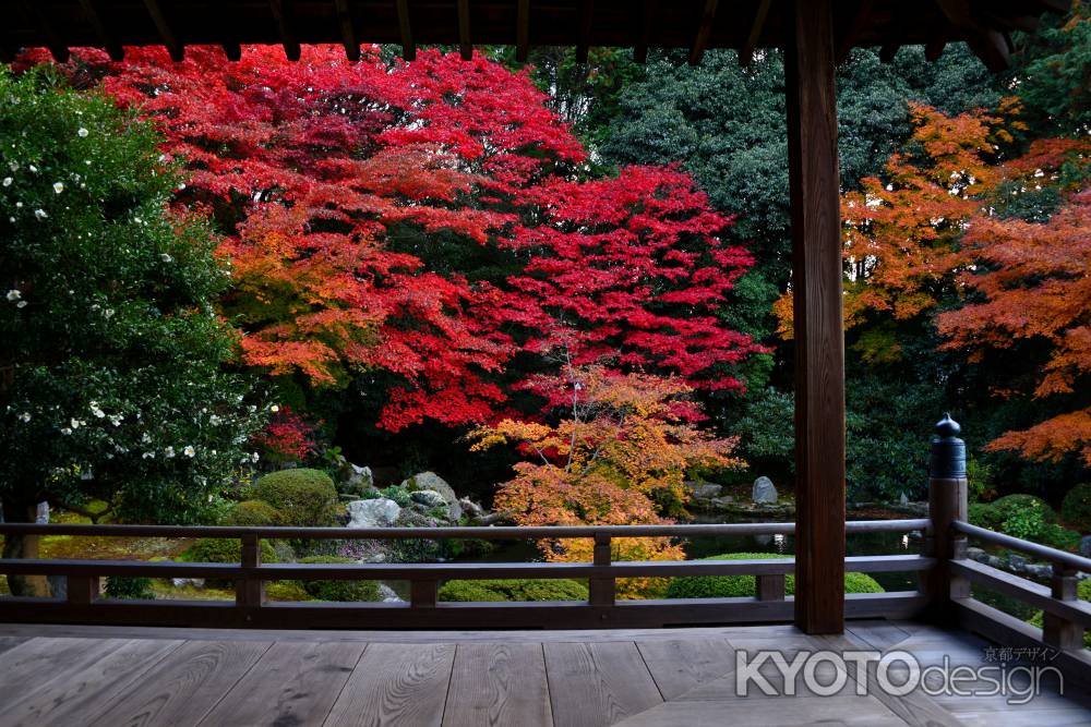 隨心院の紅葉3