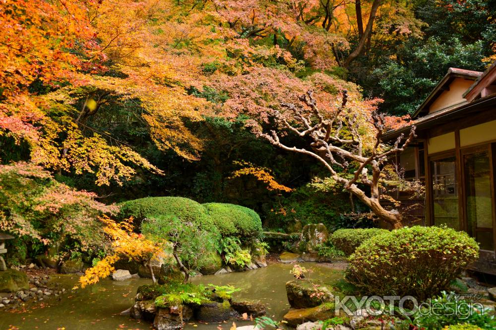長楽寺庭園の紅葉
