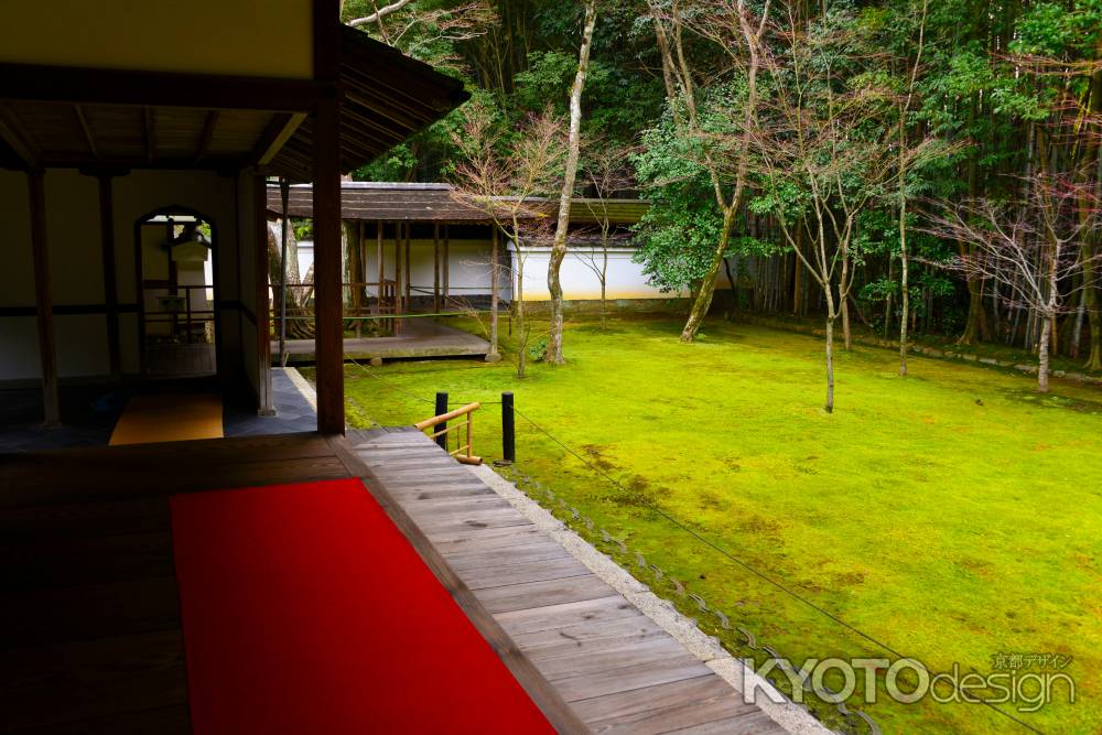 冬の高桐院庭園