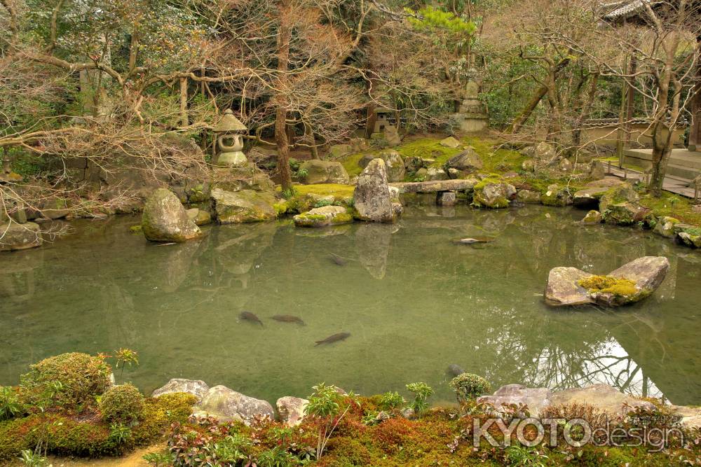 冬の蓮華寺庭園3