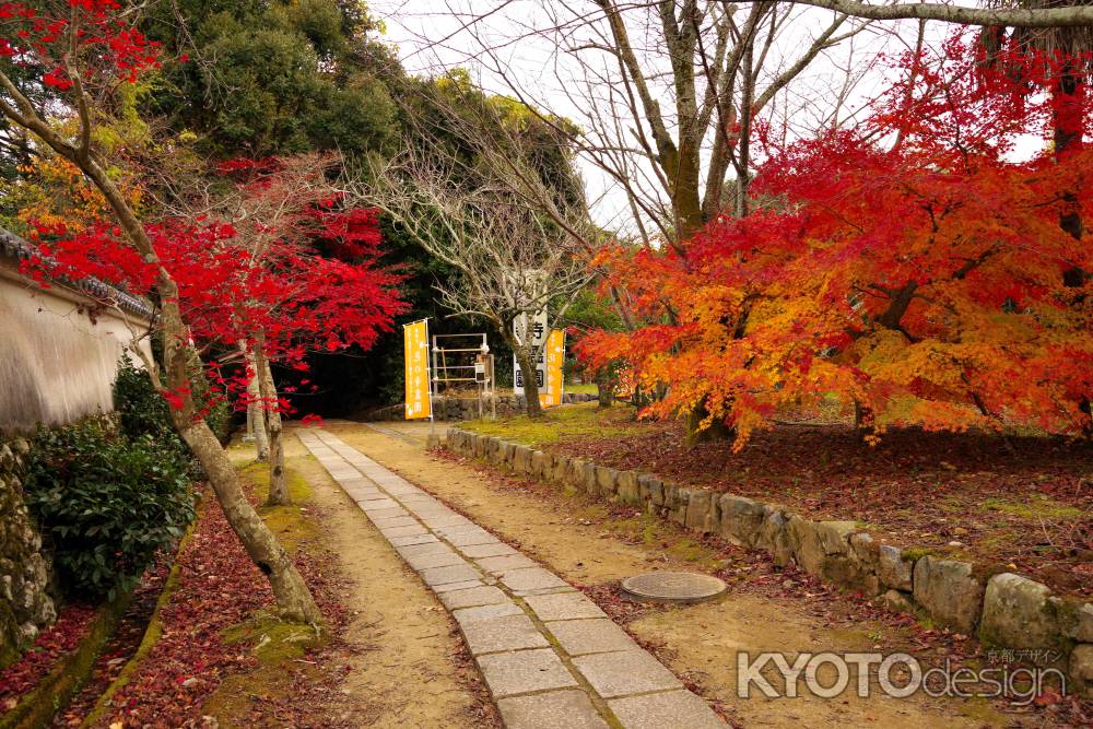 勝持寺の紅葉4
