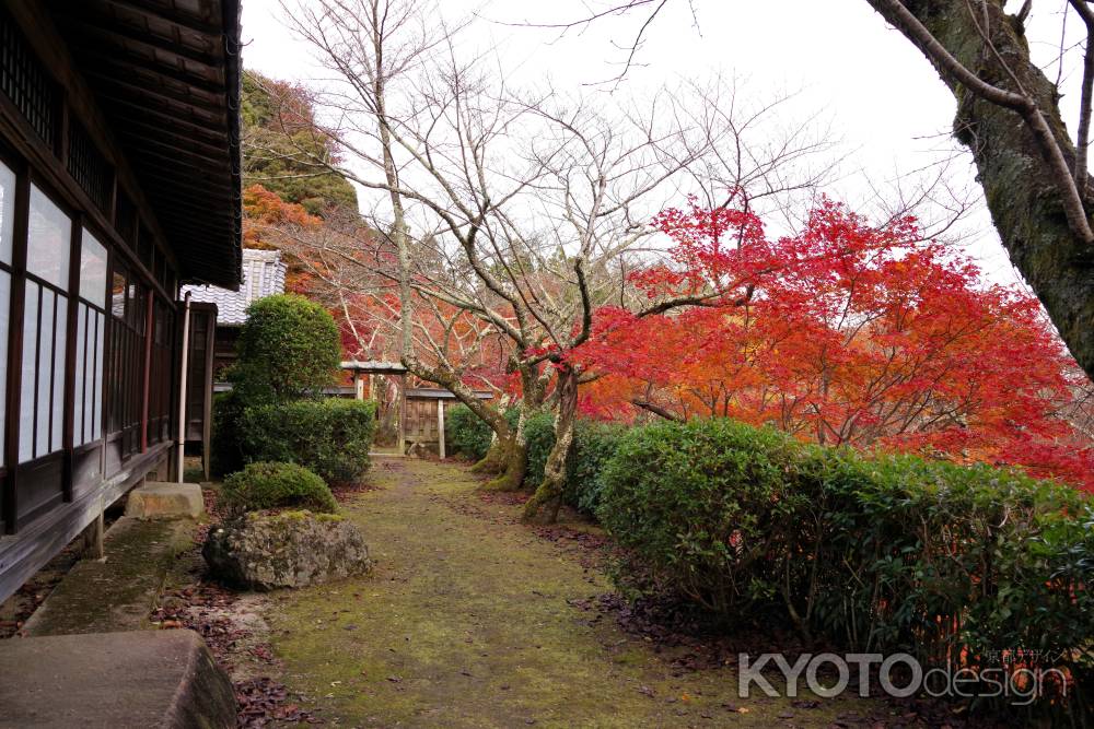 勝持寺の紅葉44