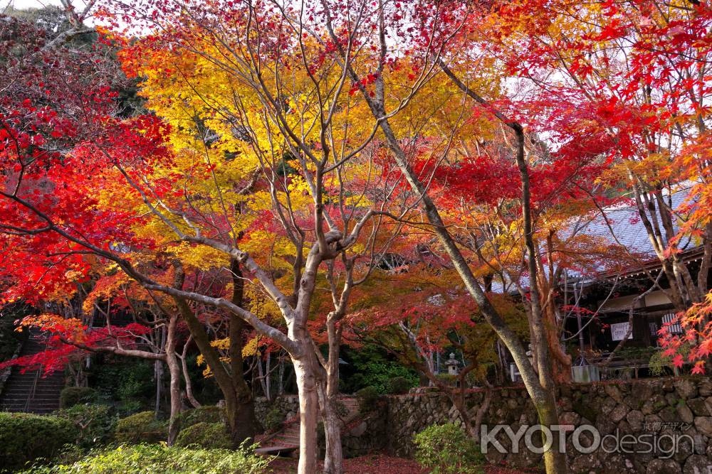 勝持寺の紅葉53