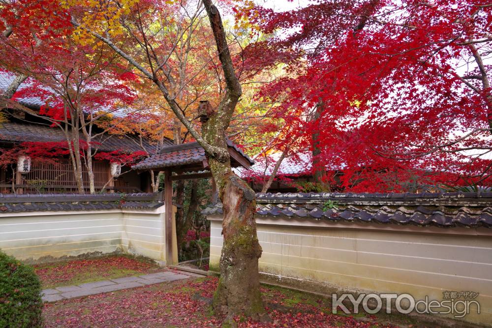 勝持寺の紅葉