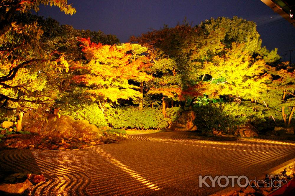 秋の圓徳院　ライトアップ