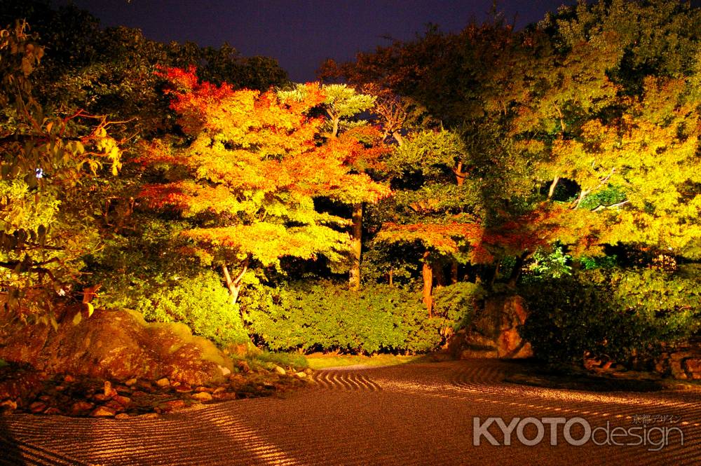 秋の圓徳院　ライトアップ2