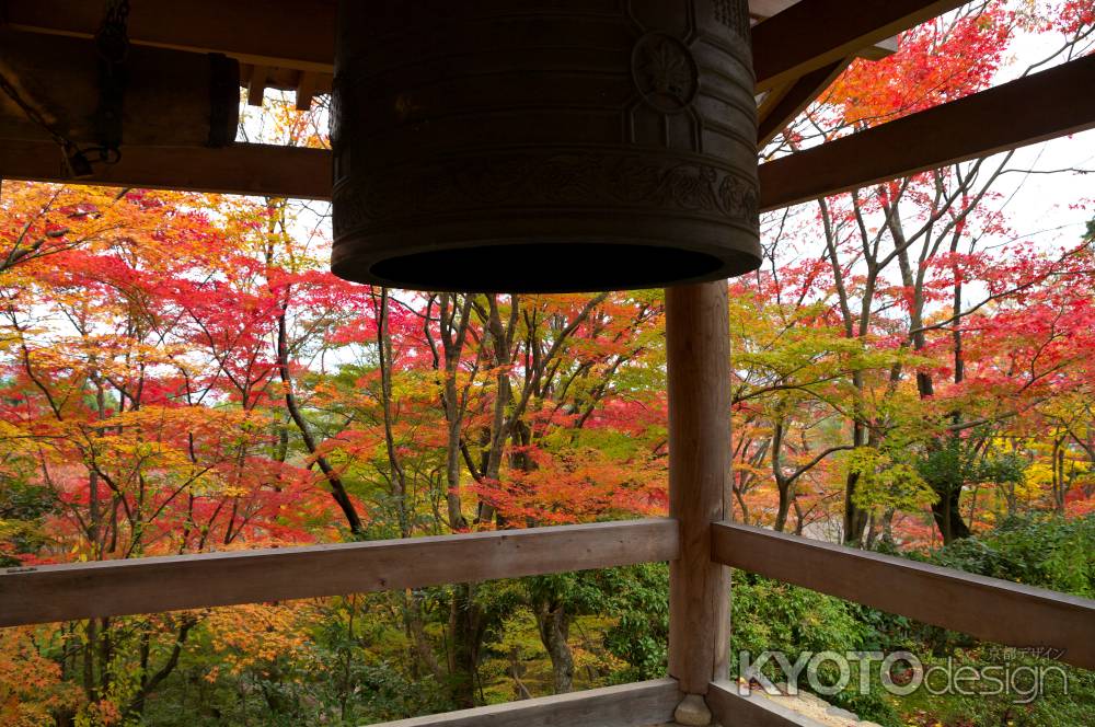 常寂光寺の紅葉5