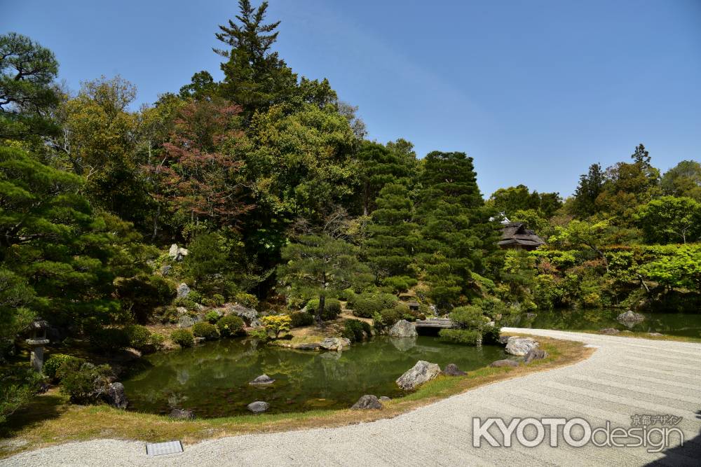 仁和寺北庭4