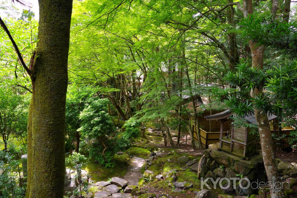夏の栖賢寺7