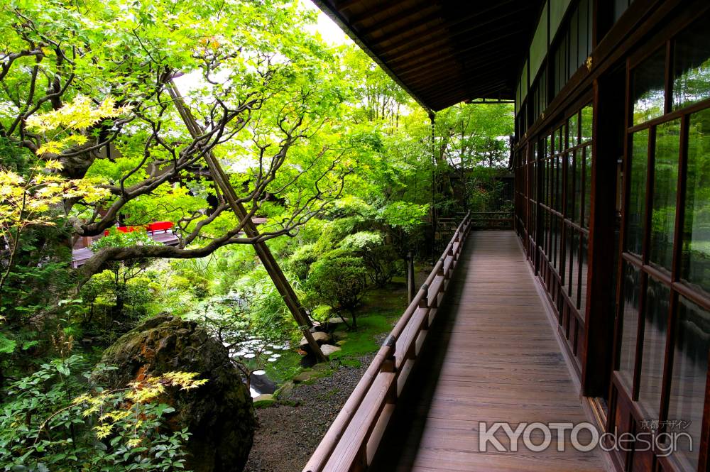 夏の永観堂の風景8