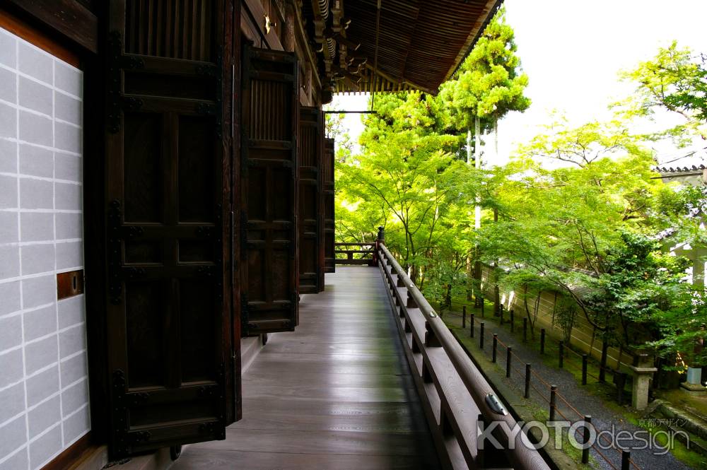 夏の永観堂の風景9