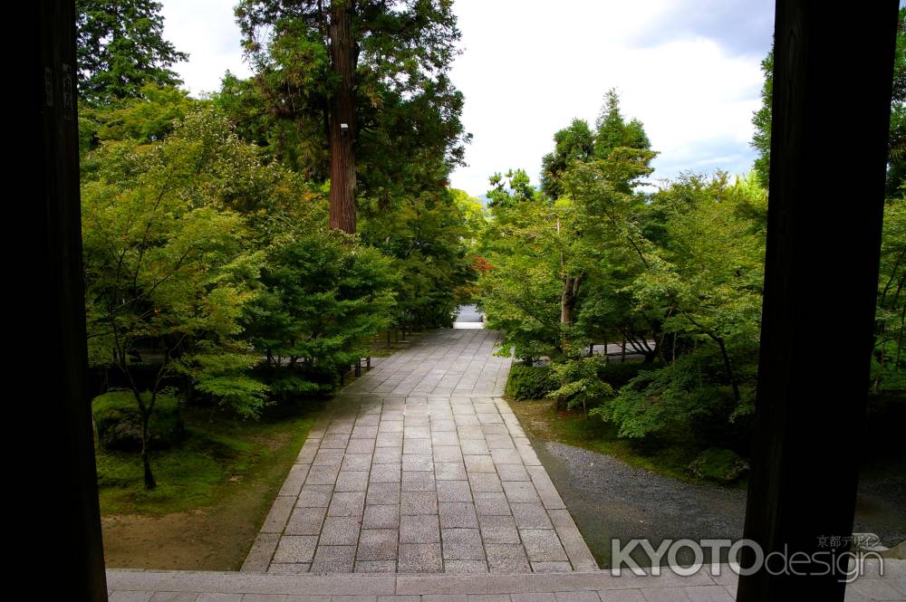 夏の永観堂の風景12