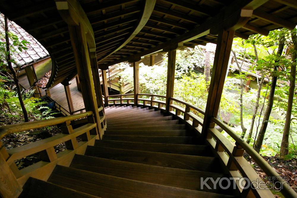 夏の永観堂の風景17