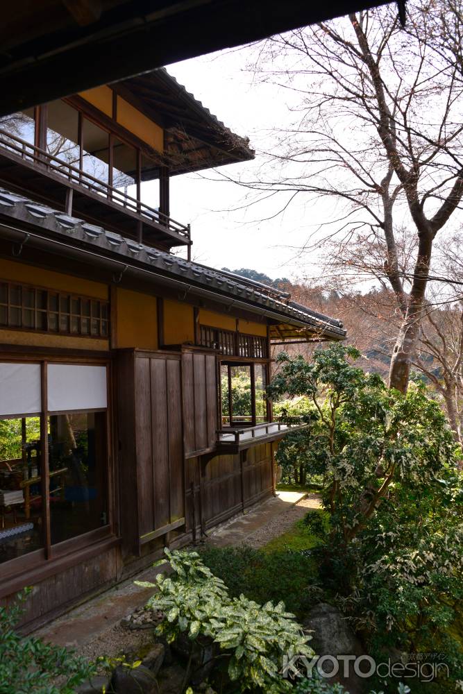 春の瑠璃光院10