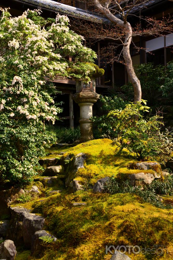 春の瑠璃光院13