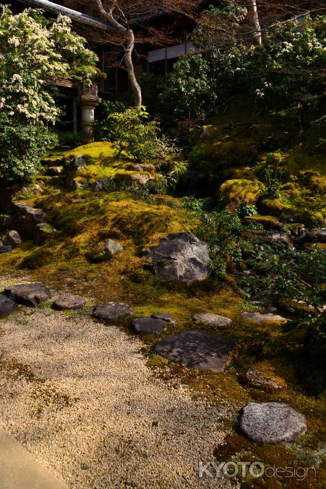 春の瑠璃光院14