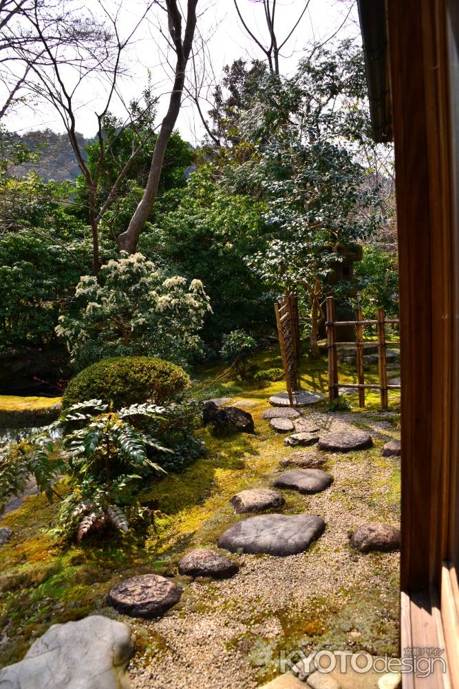 春の瑠璃光院15