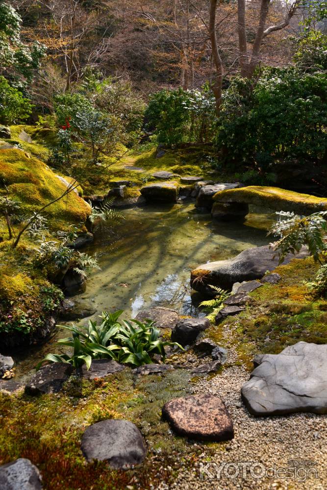 春の瑠璃光院16