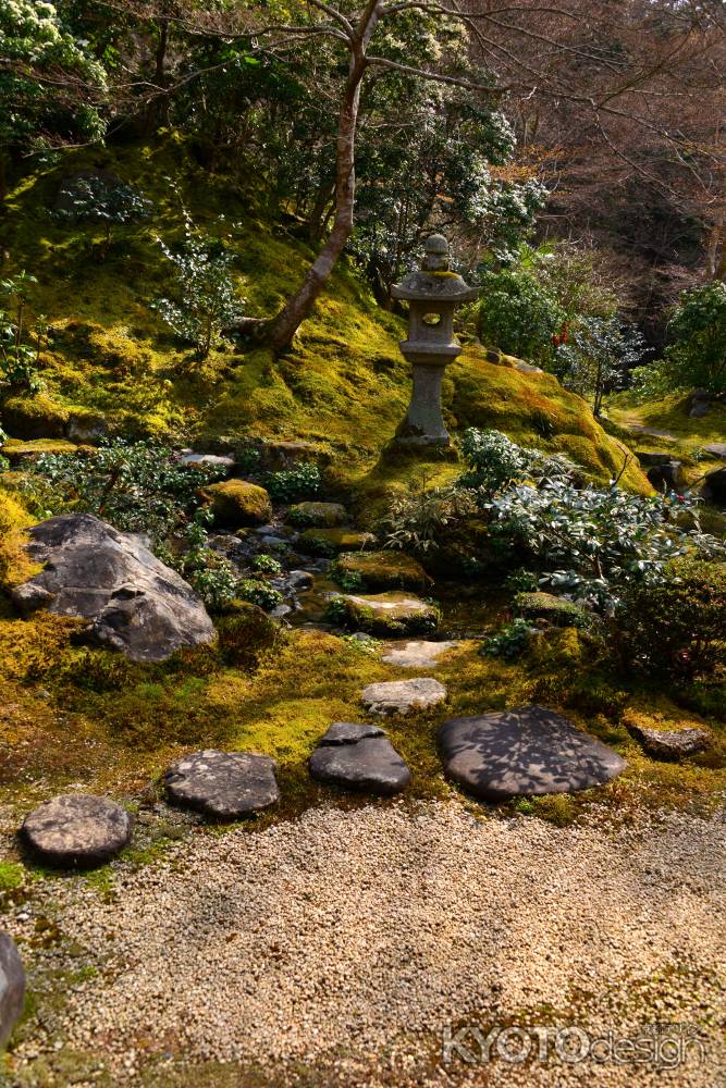 春の瑠璃光院18