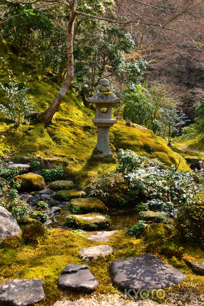 春の瑠璃光院20