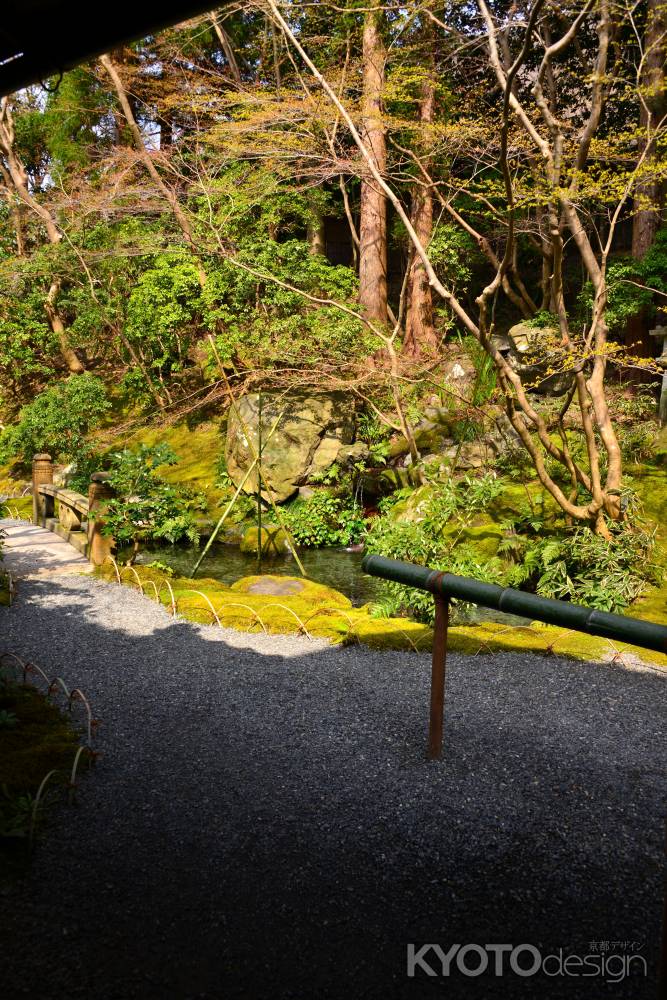 春の瑠璃光院21