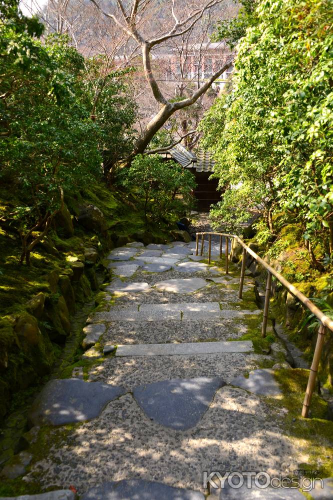 春の瑠璃光院22