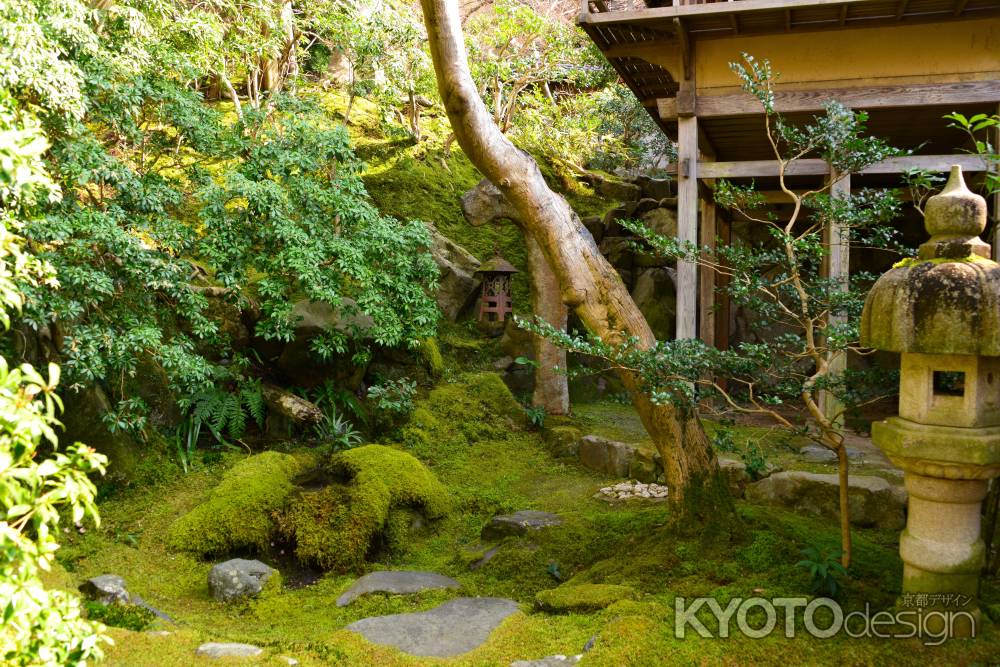 春の瑠璃光院23