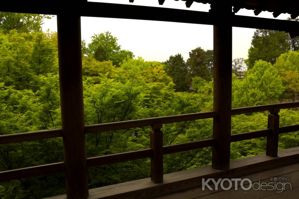 新緑の東福寺8