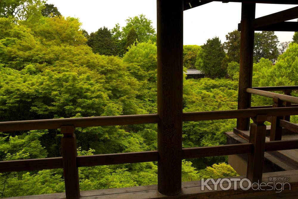 新緑の東福寺11