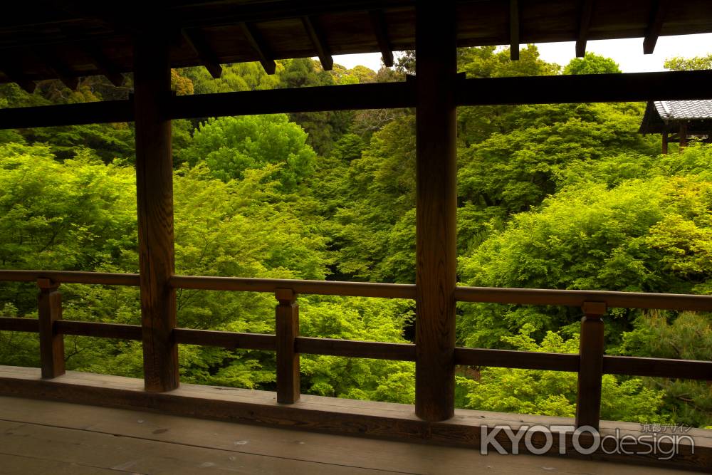 新緑の東福寺15
