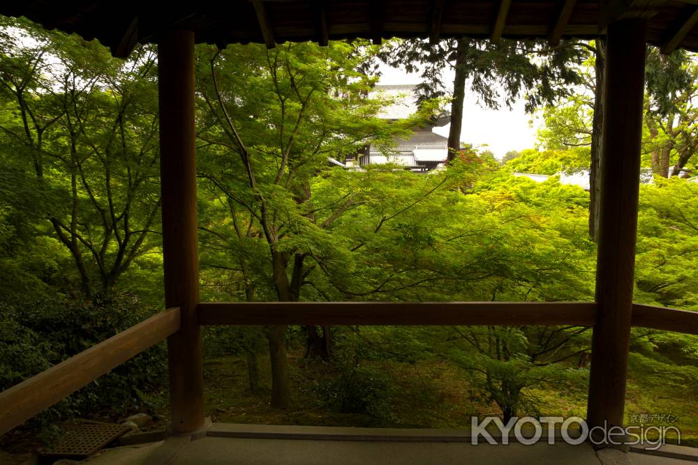 新緑の東福寺20