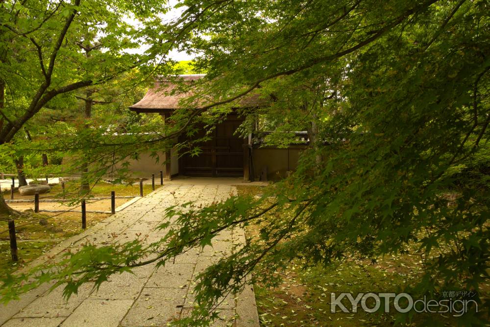 新緑の東福寺26