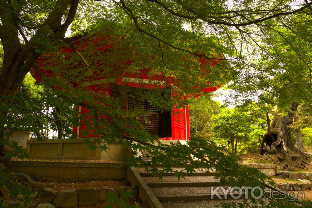 新緑の東福寺27