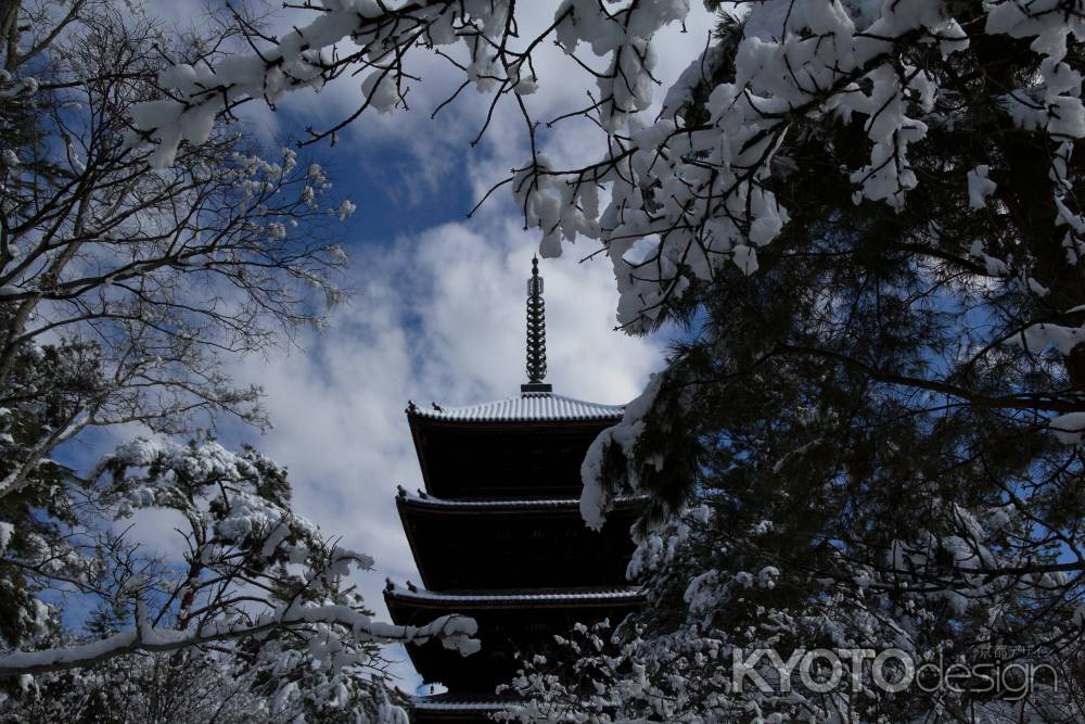 雪景色の仁和寺38