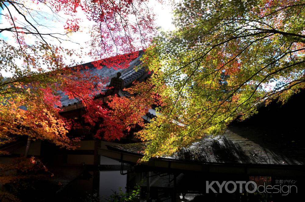 西明寺の紅葉9