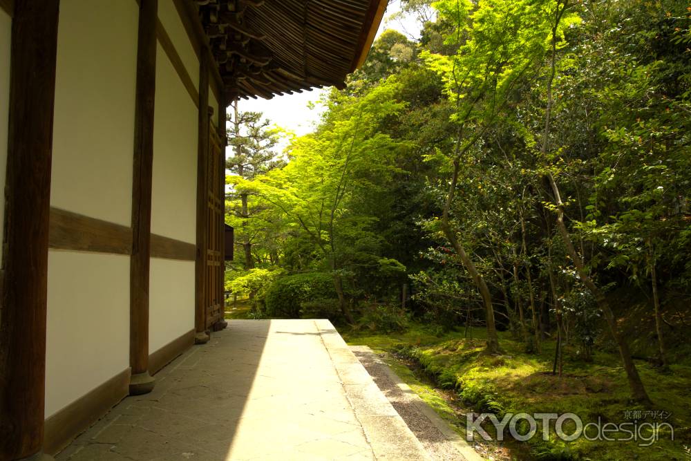 新緑の一休寺26