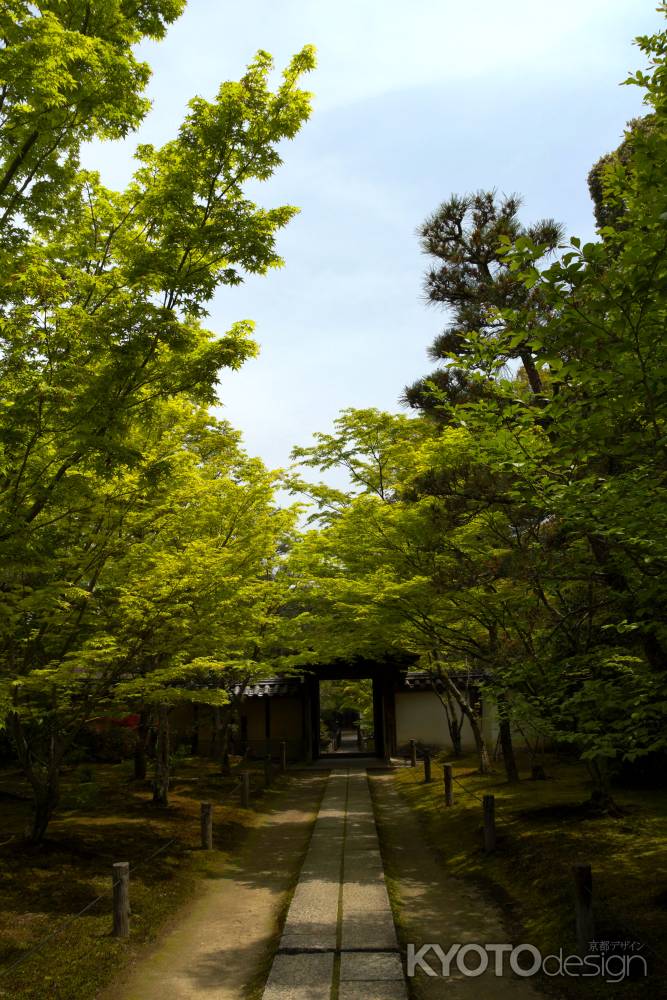 新緑の一休寺28