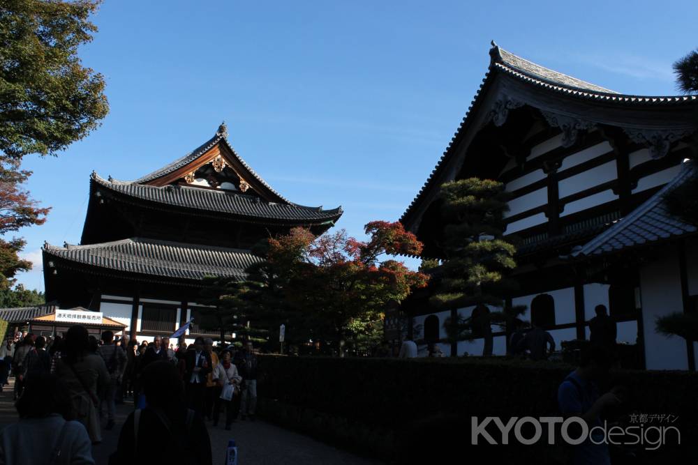東福寺本堂2