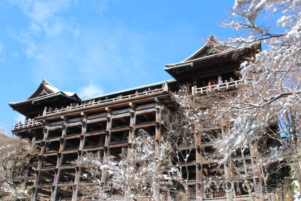 舞台を見上げる･･･清水にて