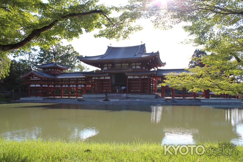 緑なす平等院鳳凰堂