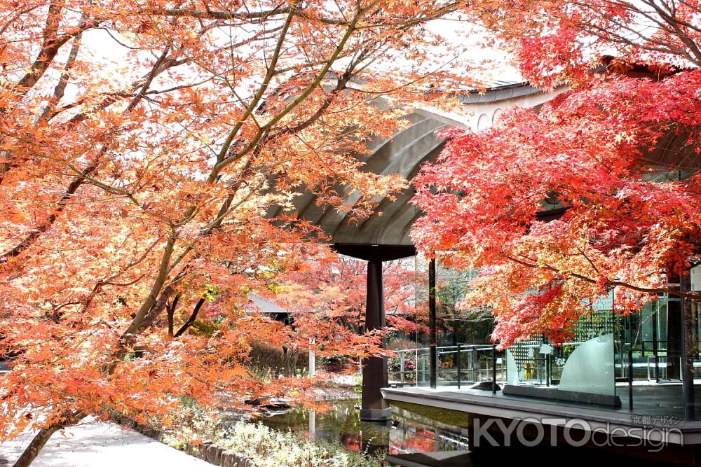 宇治大吉山麓にて-03