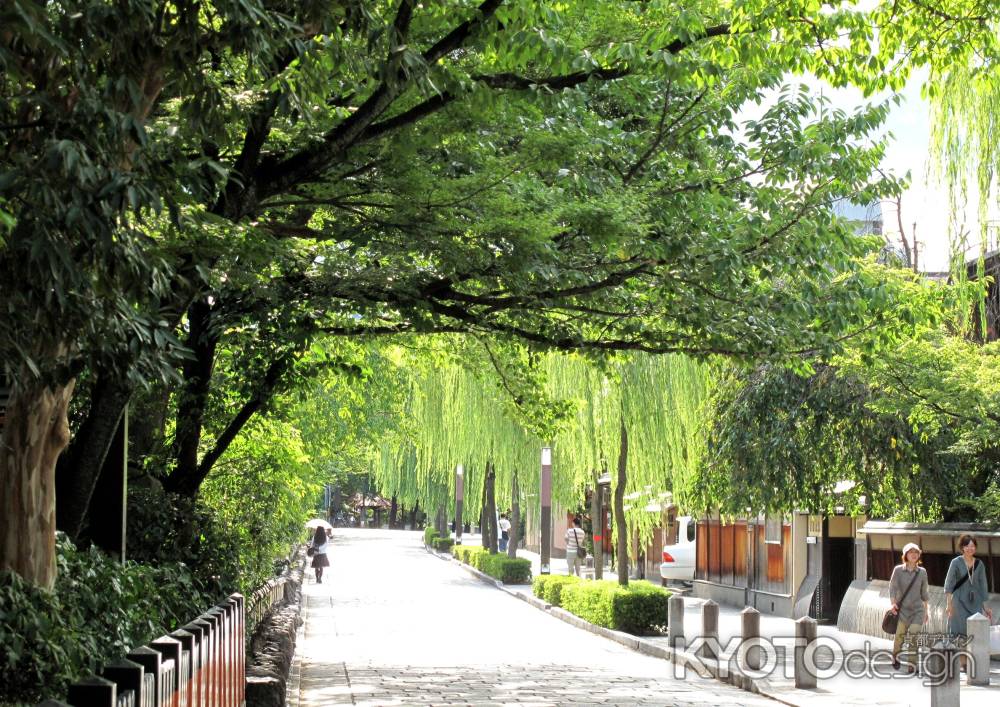 新橋の木陰から