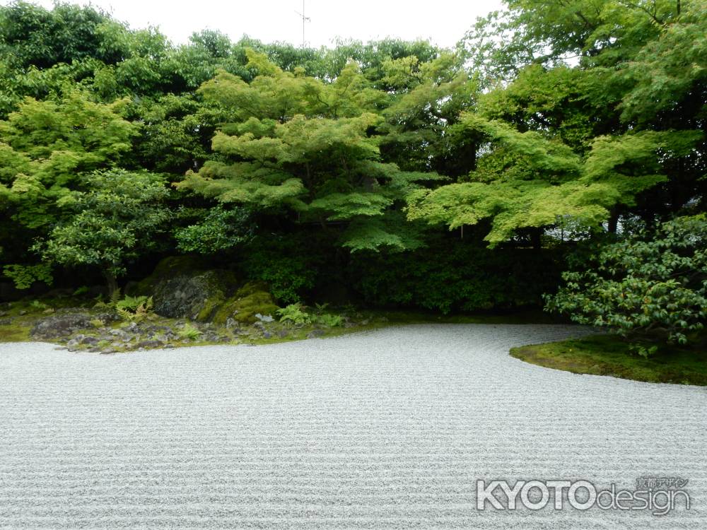 雨上がりの圓徳院