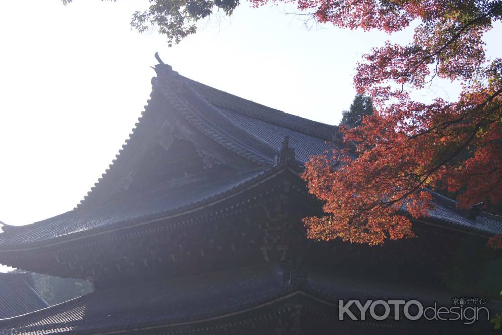 京都市の紅葉（泉涌寺）