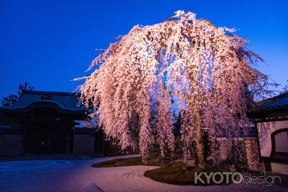 春宵高台寺